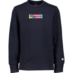 Champion hoodie shop stadium outlet